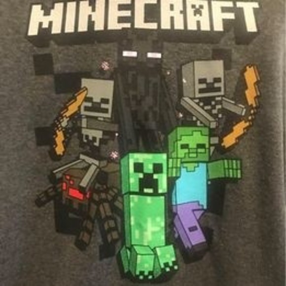 Minecraft Boys Size Large Gray Jinx Sweatshirt Hoodie Graphics - Picture 2 of 4